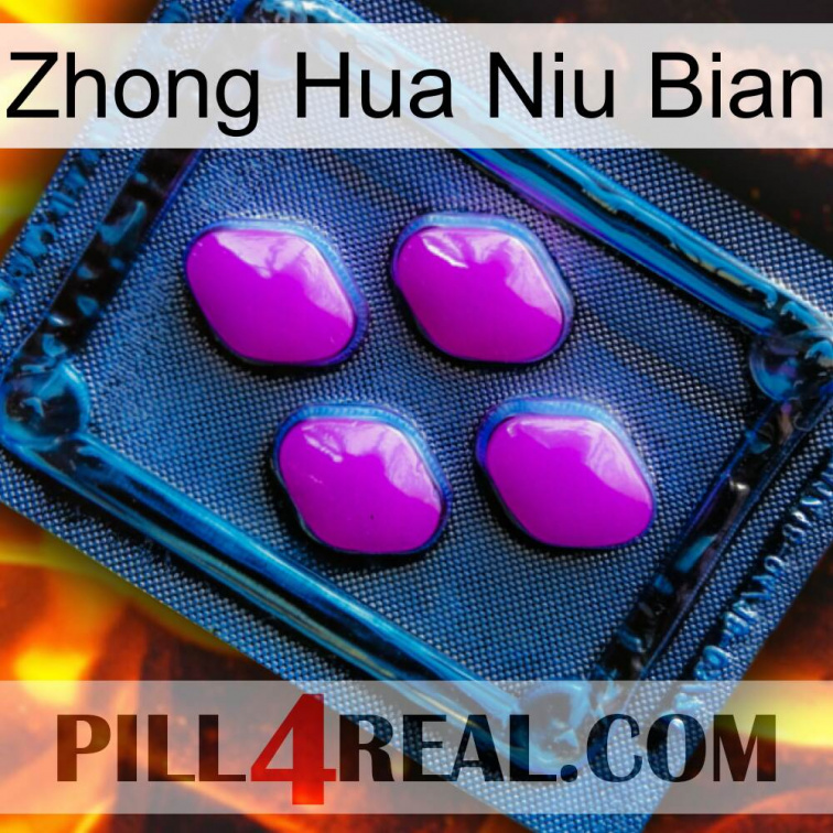 Zhong Hua Niu Bian 04